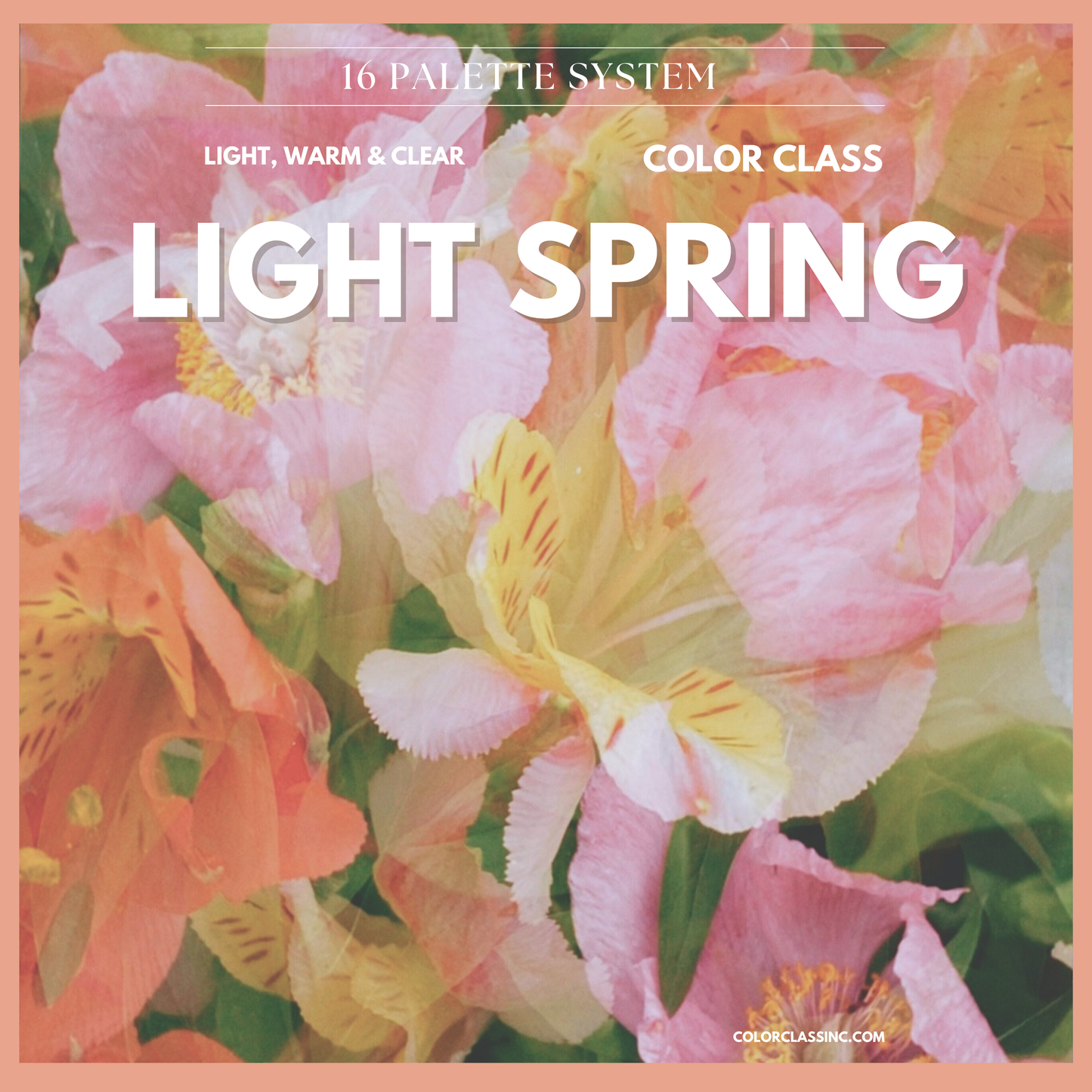 Light Spring Digital Color Palette Guide