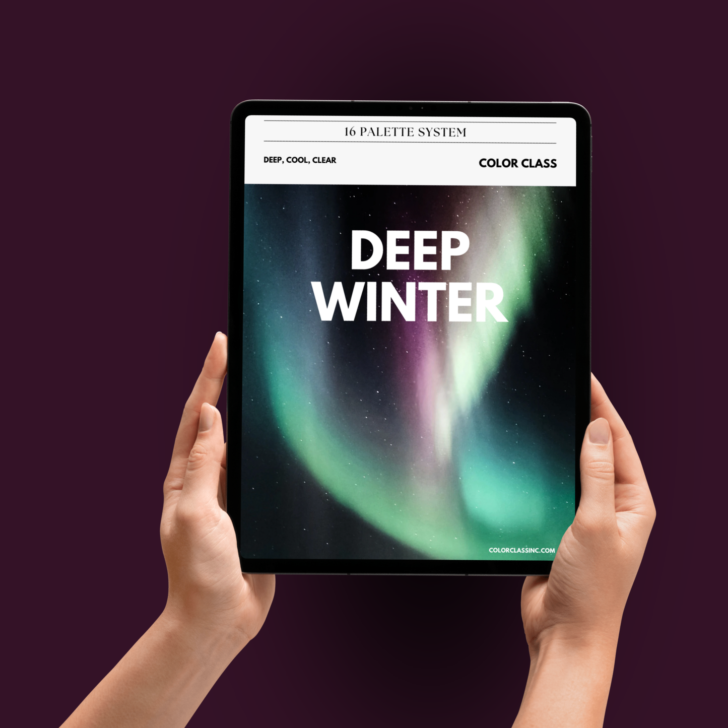 Deep Winter Digital Color Palette Guide