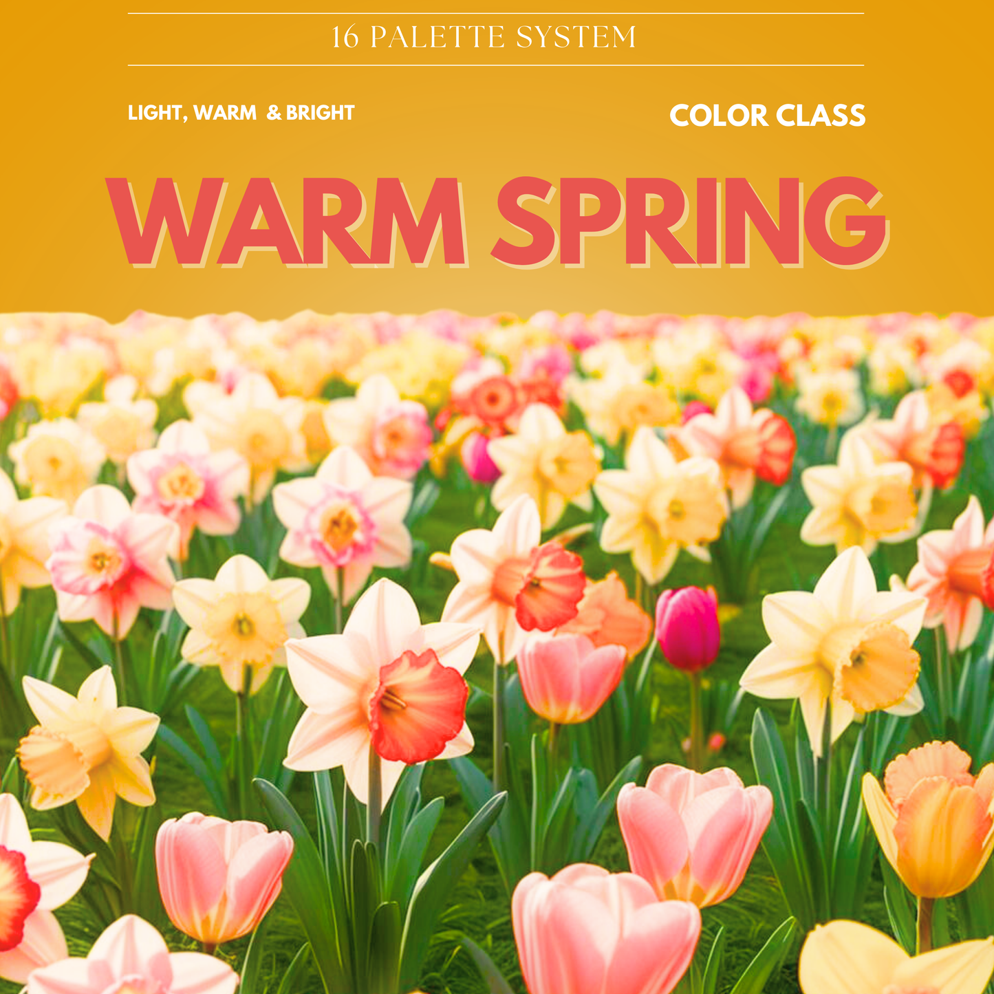 Warm Spring Digital Color Palette Guide