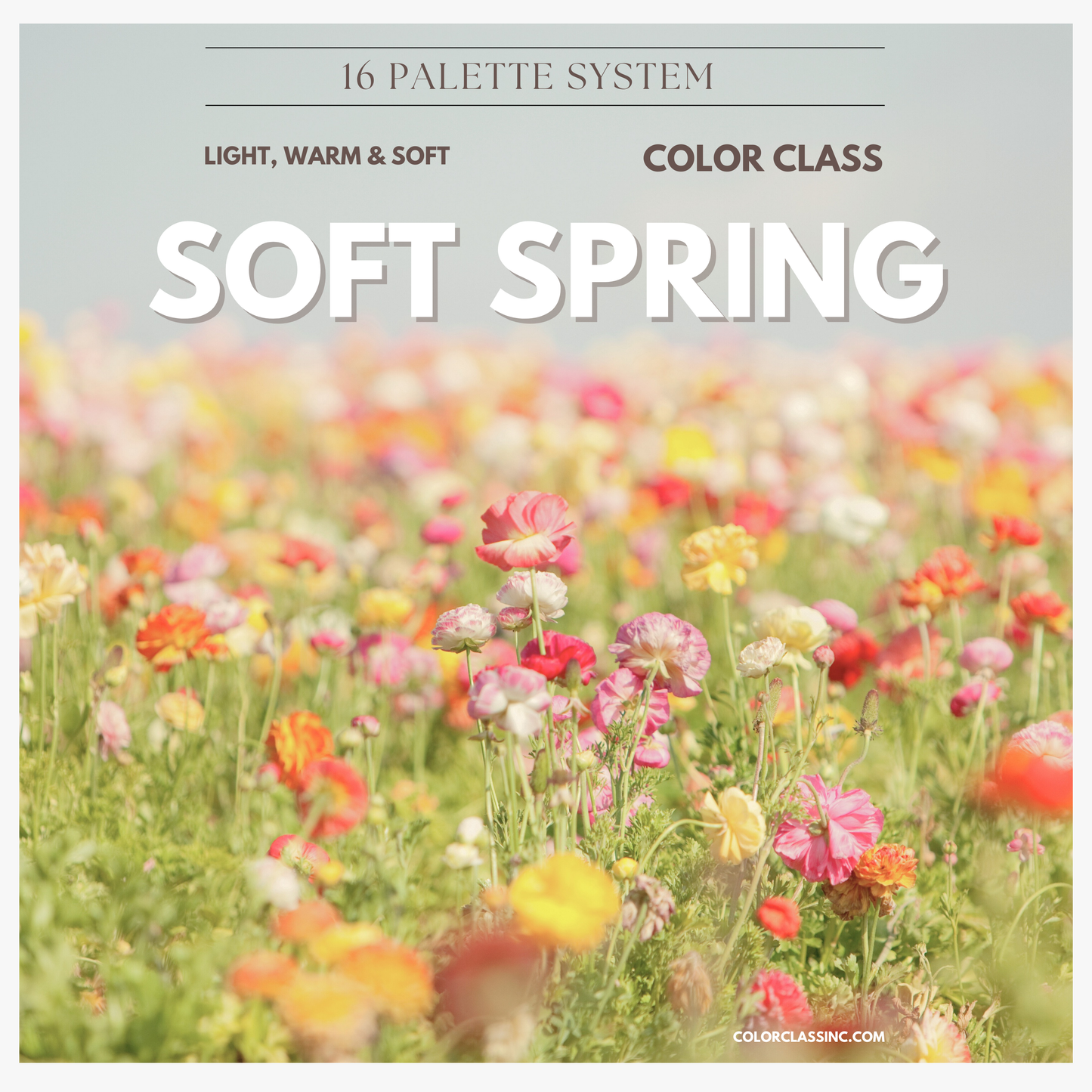 Soft Spring Digital Color Palette Guide