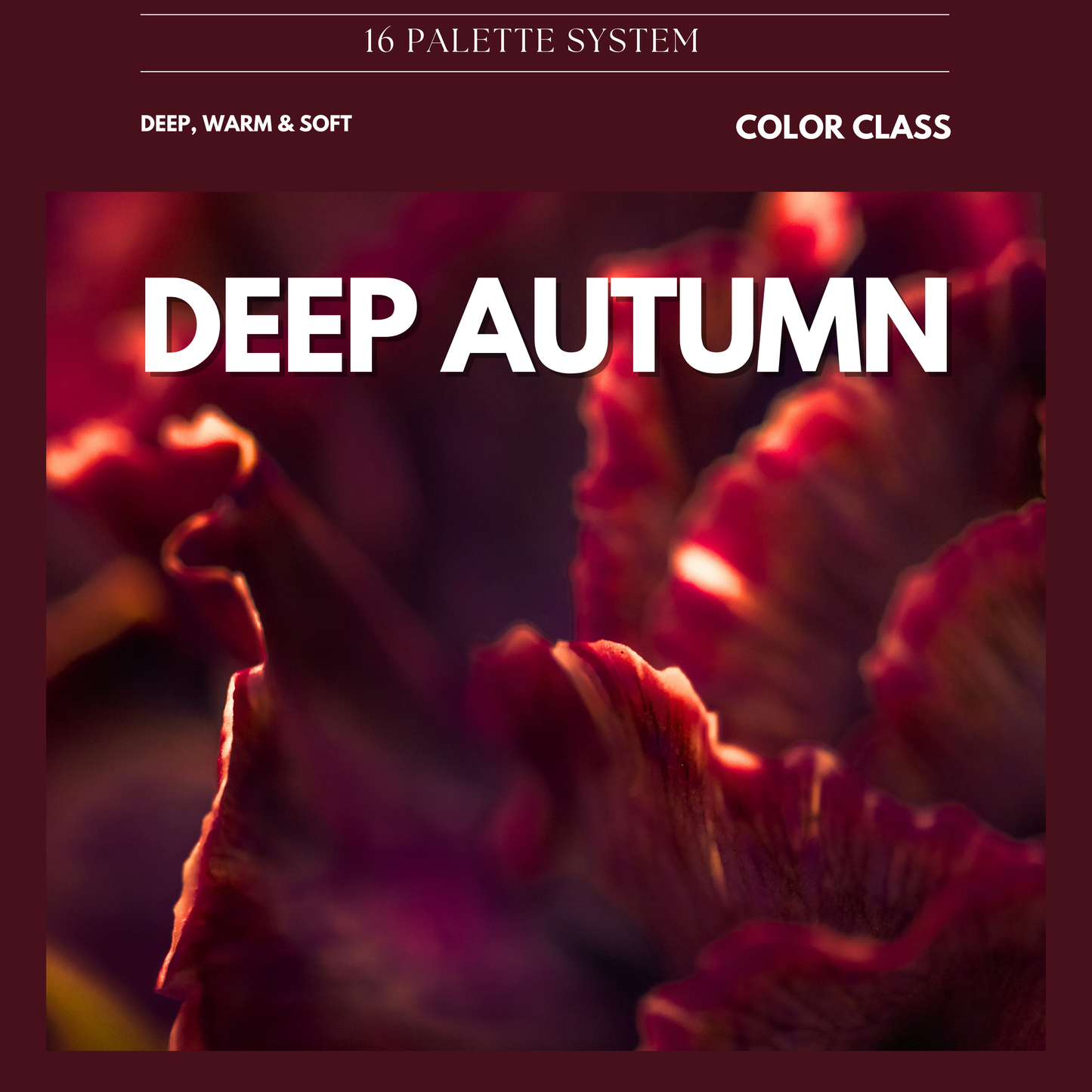 Deep Autumn Digital Color Palette Guide