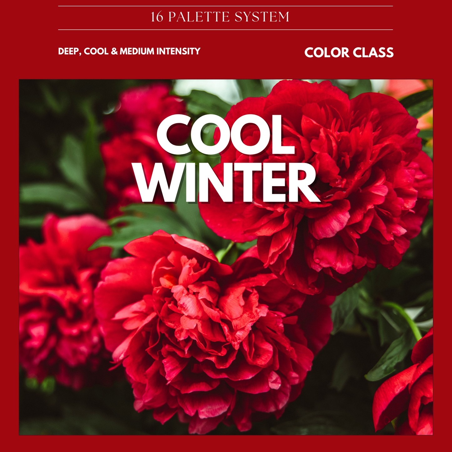 Cool Winter Digital Color Palette Guide