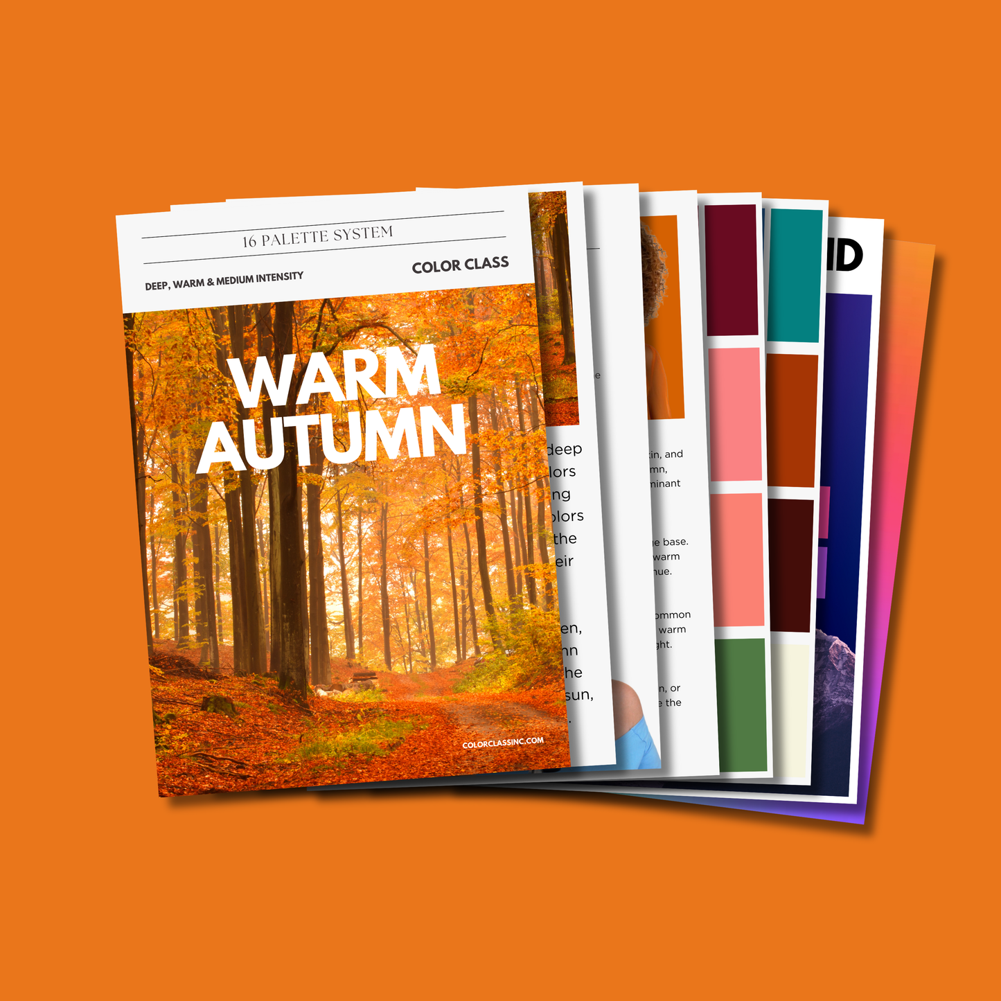 Warm Autumn Digital Color Palette Guide