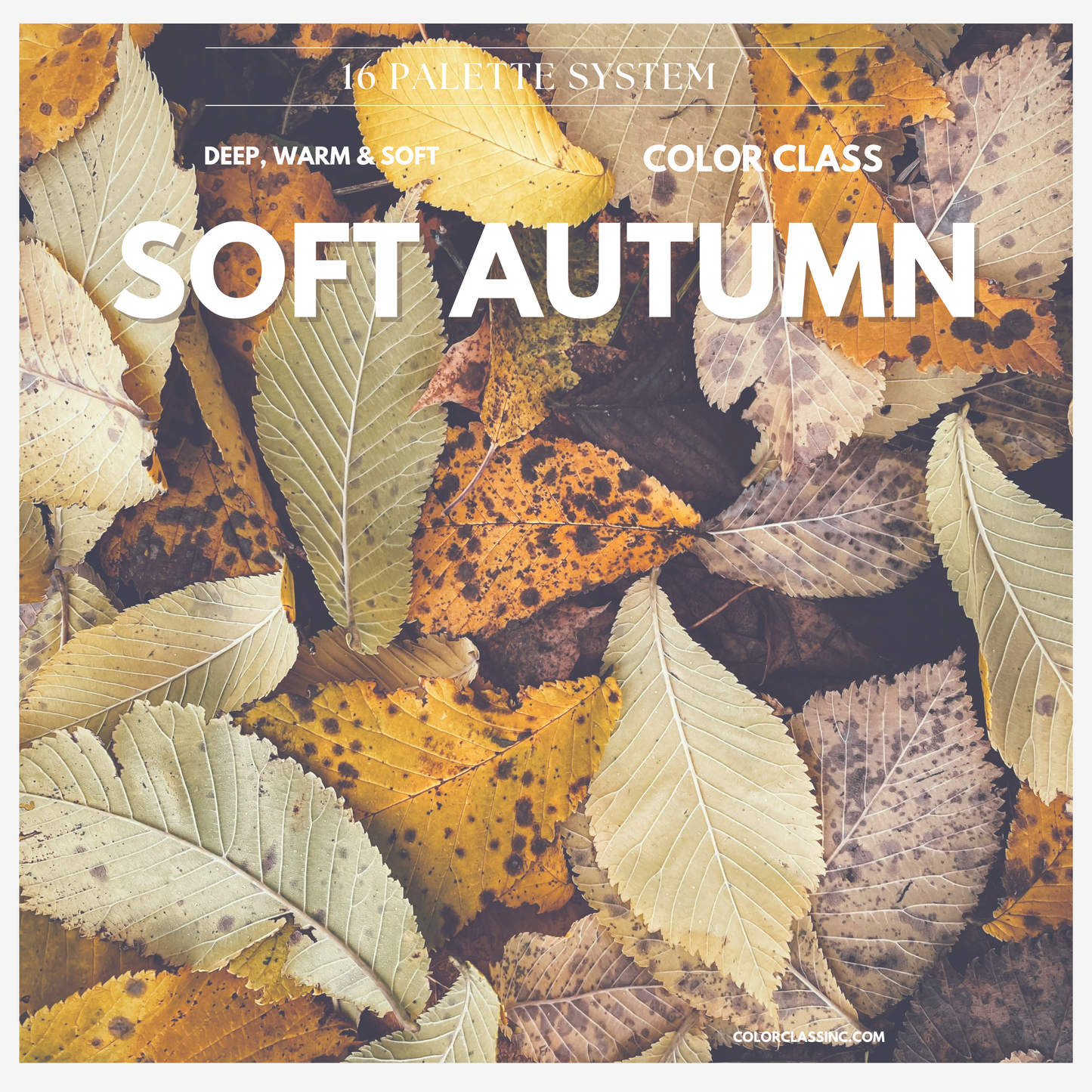 Soft Autumn Digital Color Palette Guide