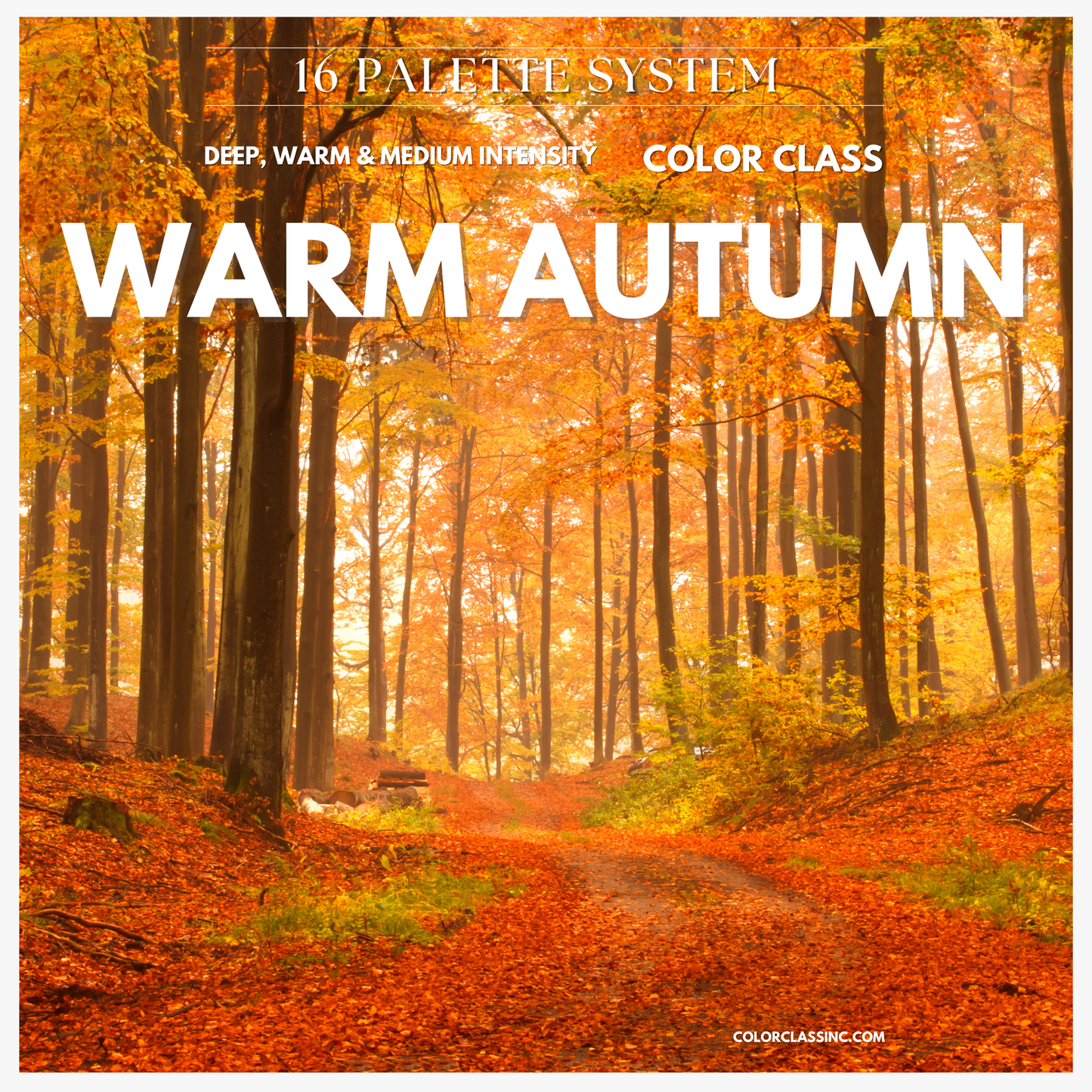Warm Autumn Digital Color Palette Guide